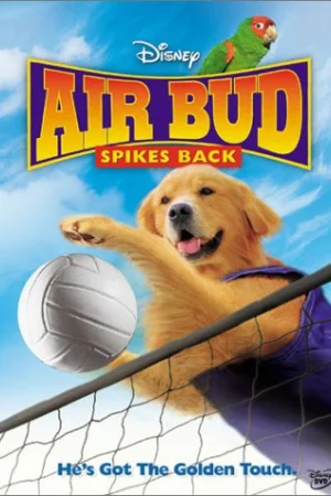 Air Bud Spikes Back