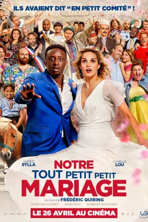 Our Tiny Little Wedding