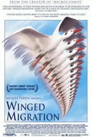 Winged Migration