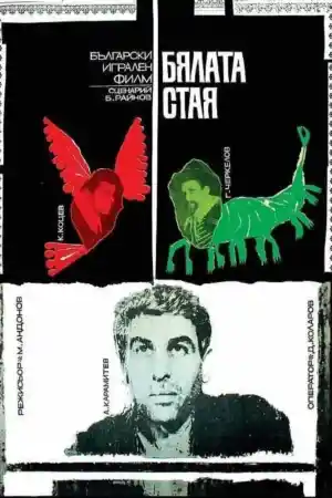 Бялата стая