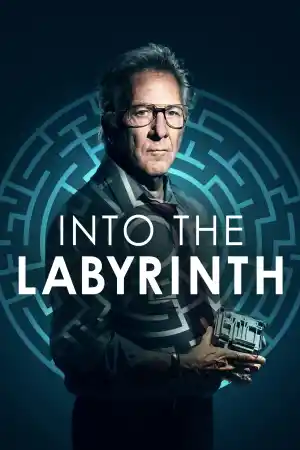 L'uomo del labirinto / Into the Labyrinth