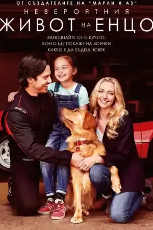 The Art of Racing in the Rain