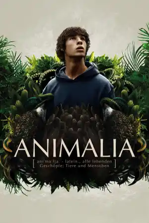 Animalia