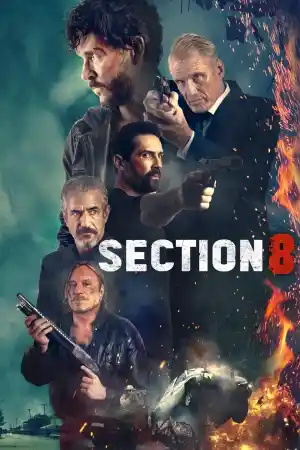 Section 8
